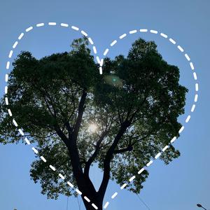 中文字幕乱码一区二区三区
