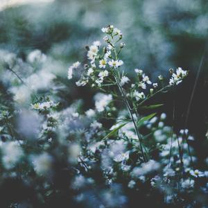 中文字幕乱码一区二区三区
